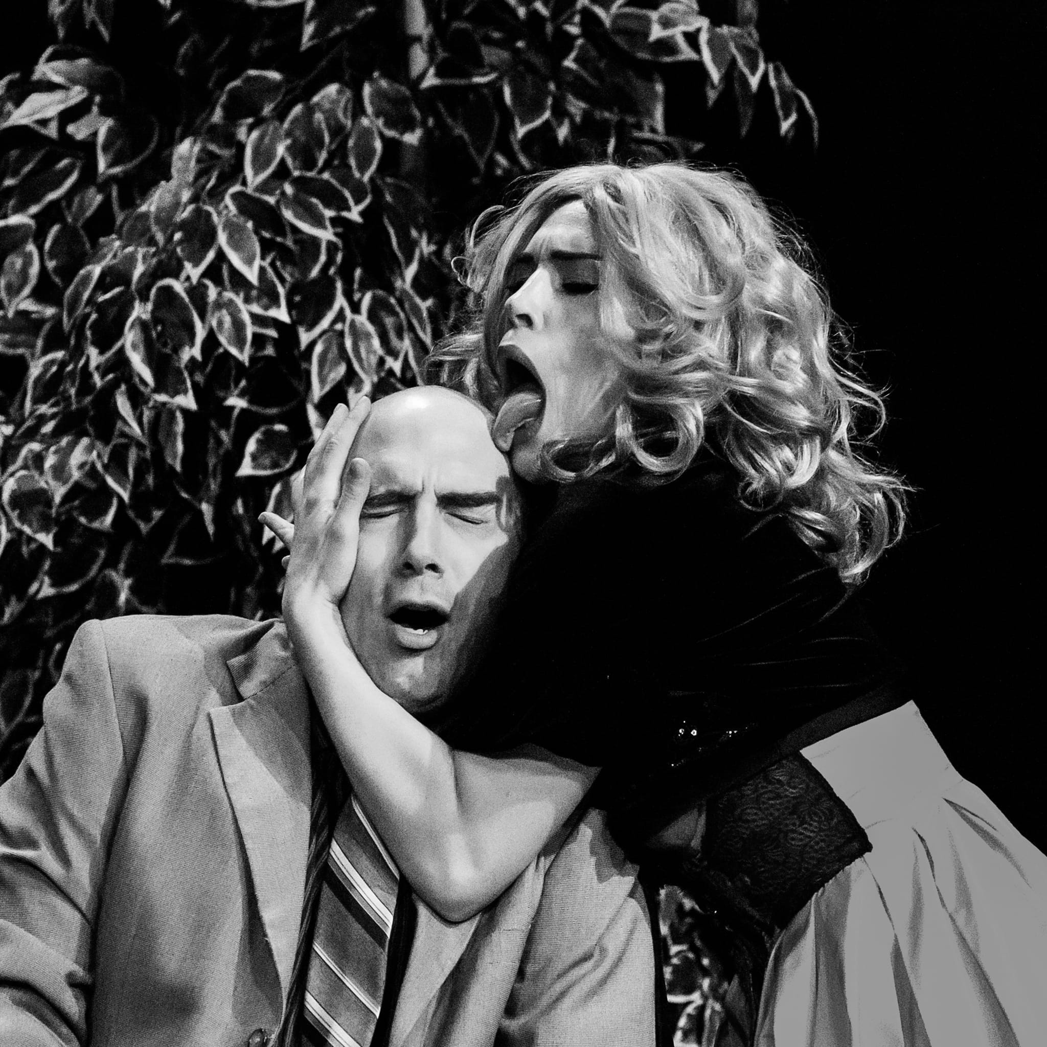 We Are Shadowbox Live Shadowbox Live